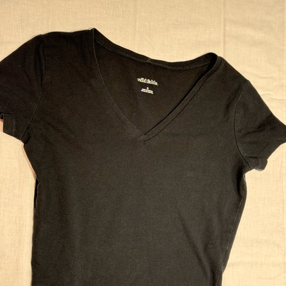 Wild Fable Women’s black v neck line crop top